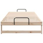 Casa si Gradina - Mobilier - Paturi si accesorii - Paturi - Cadru de pat cu maneri de transport Maro 100 x 200 cm - Infinity.ro