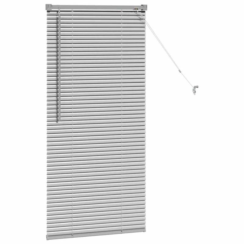 Casa si Gradina - Textile si covoare - Rulouri si jaluzele - Jaluzea pentru Fereastra Argintiu 60 x 130 cm Aluminiu - Infinity.ro