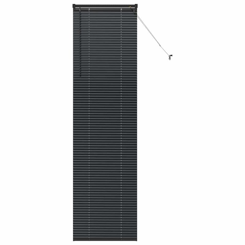 Casa si Gradina - Textile si covoare - Rulouri si jaluzele - Jaluzea pentru Fereastra cu perdele Altele Manual Negru 60 x 220 cm Aluminiu - Infinity.ro