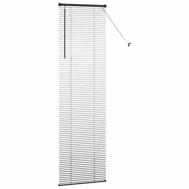 Casa si Gradina - Textile si covoare - Rulouri si jaluzele - Jaluzea pentru Fereastra cu perdele Altele Manual Negru 60 x 220 cm Aluminiu - Infinity.ro