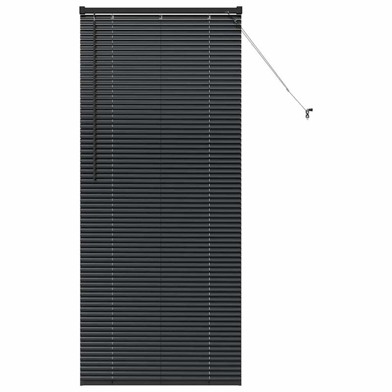 Casa si Gradina - Textile si covoare - Rulouri si jaluzele - Jaluzea pentru Fereastra cu perdele Altele Manual Negru 80 x 175 cm Aluminiu - Infinity.ro