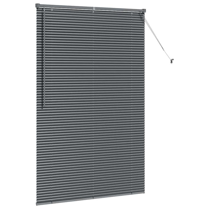 Casa si Gradina - Textile si covoare - Rulouri si jaluzele - Jaluzea pentru Fereastra Gri inchis 120 x 175 cm Aluminiu - Infinity.ro