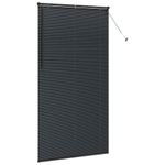 Casa si Gradina - Textile si covoare - Rulouri si jaluzele - Jaluzea pentru Fereastra cu perdele Altele Manual Negru 80 x 130 cm Aluminiu - Infinity.ro