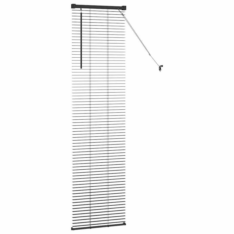 Casa si Gradina - Textile si covoare - Rulouri si jaluzele - Jaluzea pentru Fereastra cu perdele Altele Manual Negru 80 x 130 cm Aluminiu - Infinity.ro