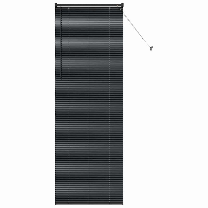 Casa si Gradina - Textile si covoare - Rulouri si jaluzele - Jaluzea pentru Fereastra cu perdele Altele Manual Negru 80 x 130 cm Aluminiu - Infinity.ro