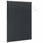 Casa si Gradina - Textile si covoare - Rulouri si jaluzele - Jaluzea pentru Fereastra cu perdele Altele Manual Negru 155 x 220 cm Aluminiu - Infinity.ro