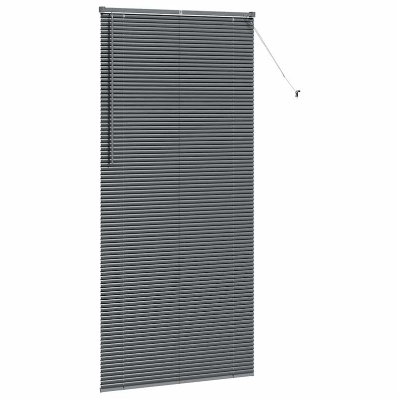 Casa si Gradina - Textile si covoare - Rulouri si jaluzele - Jaluzea pentru Fereastra Gri inchis 100 x 220 cm Aluminiu - Infinity.ro