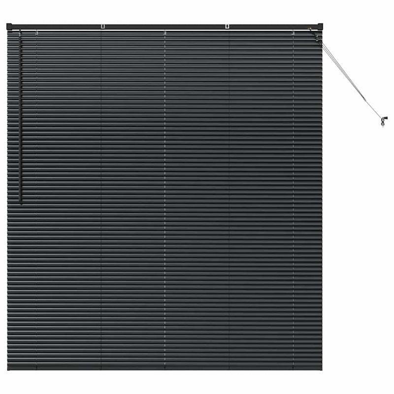 Casa si Gradina - Textile si covoare - Rulouri si jaluzele - Jaluzea pentru Fereastra cu perdele Altele Manual Negru 160 x 175 cm Aluminiu - Infinity.ro