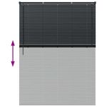 Casa si Gradina - Textile si covoare - Rulouri si jaluzele - Jaluzea pentru Fereastra cu perdele Altele Manual Negru 80 x 130 cm Aluminiu - Infinity.ro