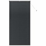 Casa si Gradina - Textile si covoare - Rulouri si jaluzele - Jaluzea pentru Fereastra cu perdele Altele Manual Negru 100 x 220 cm Aluminiu - Infinity.ro