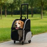 Petshop - Accesorii petshop - Culcusuri si custi - Genti si articole transport - Carucior / Troler cu rucsac transport animale mici, 35x32 cm, max. 105 cm, cu roti si maner extensibil, negru - Infinity.ro