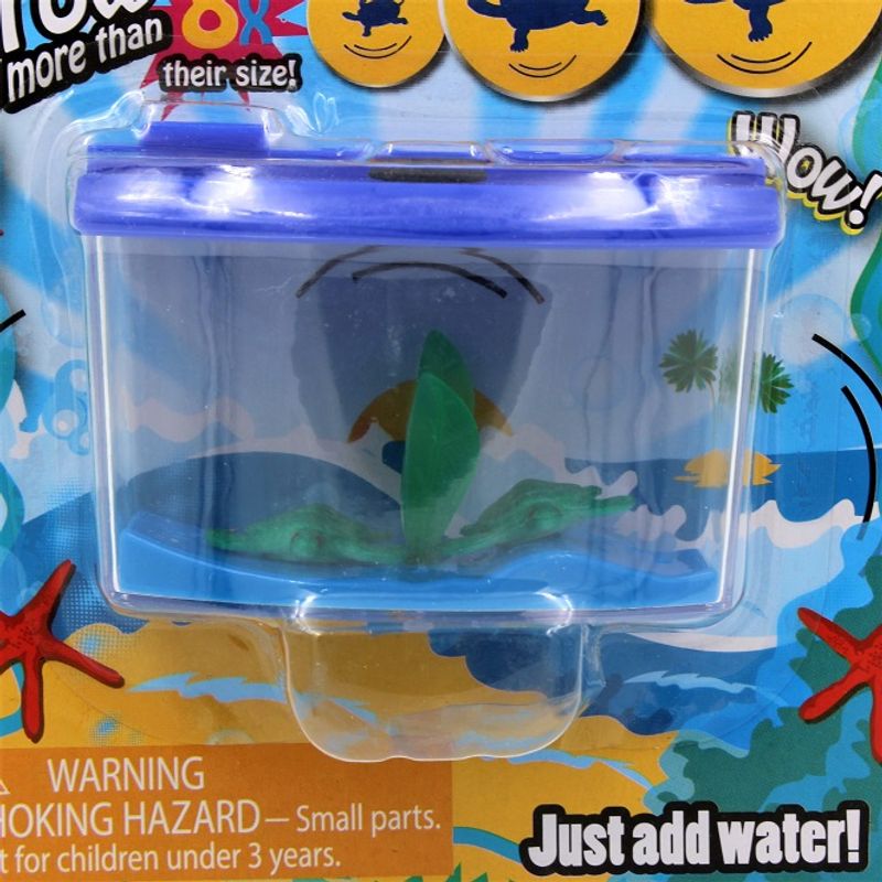 Jucarii, Copii si Bebe - Jucarii si jocuri - Jucarii & jocuri educative - Jocuri si jucarii educative - Mini acvariu Magic Aquarium broscute testoase - Rosu - Infinity.ro