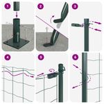 Casa si Gradina - Gradina si terasa - Garduri, panouri si accesorii - Ingradire din Otel cu 13 Stalpi Flansati Verde 0.5x25 m - Infinity.ro