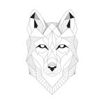 Casa si Gradina - Decoratiuni - Stickere decorative - Sticker decorativ, Lup, 70 cm, 1071STK - Infinity.ro