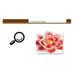 Casa si Gradina - Decoratiuni - Stickere decorative - Sticker decorativ, Flori, 145 cm, 756STK - Infinity.ro