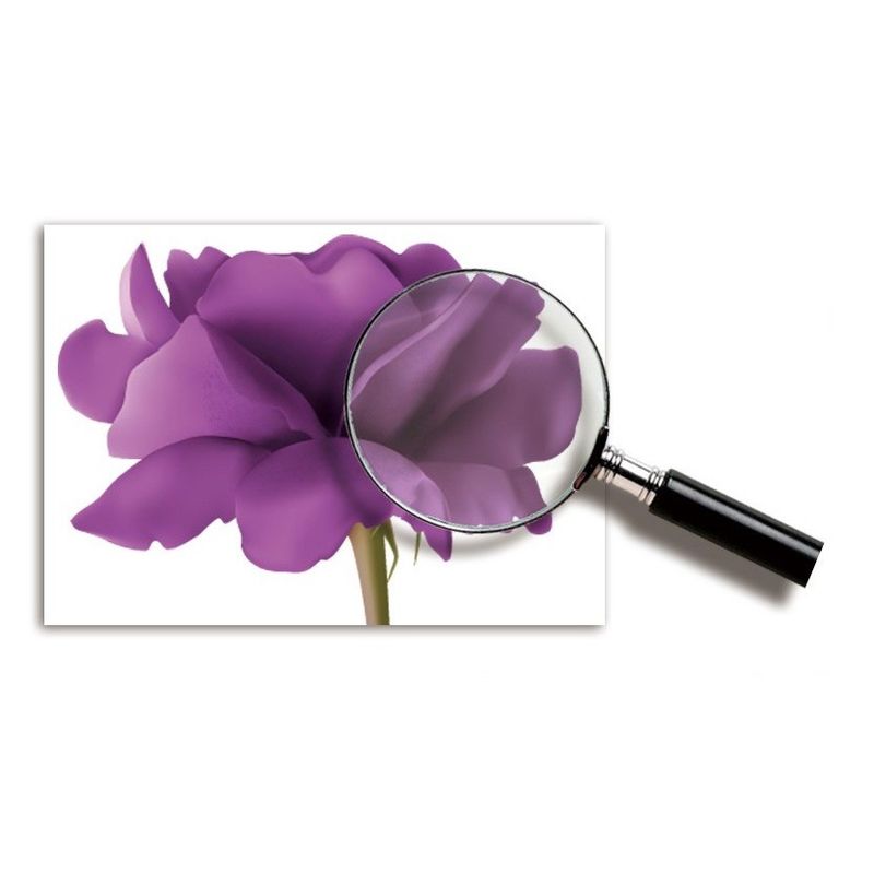 Casa si Gradina - Decoratiuni - Stickere decorative - Sticker decorativ, Flori mov, 140 cm, 797STK - Infinity.ro