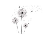 Casa si Gradina - Decoratiuni - Stickere decorative - Sticker decorativ, Flori Papadie, 135 cm, 767STK - Infinity.ro