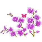 Casa si Gradina - Decoratiuni - Stickere decorative - Sticker decorativ, Orhideie, 150 cm, 399STK-1 - Infinity.ro