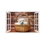 Casa si Gradina - Decoratiuni - Stickere decorative - Sticker decorativ, Fereastra 3D, Catel, 85 cm, 247STK - Infinity.ro