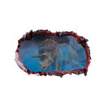 Casa si Gradina - Decoratiuni - Stickere decorative - Sticker decorativ cu Dinozauri, 85 cm, 4423ST-1 - Infinity.ro