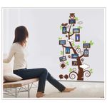 Casa si Gradina - Decoratiuni - Stickere decorative - Sticker decorativ, pom cu 11 rame foto 110 cm, 114STK - Infinity.ro