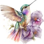Casa si Gradina - Decoratiuni - Stickere decorative - Sticker decorativ, Pasarea Colibri, Multicolor, 60 cm, 1271STK-6 - Infinity.ro