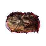 Casa si Gradina - Decoratiuni - Stickere decorative - Sticker decorativ cu Dinozauri, 85 cm, 4330ST-1 - Infinity.ro