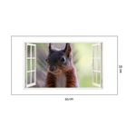 Casa si Gradina - Decoratiuni - Stickere decorative - Sticker decorativ, Fereastra 3D, Veverita, 85 cm, 316STK - Infinity.ro