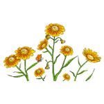 Casa si Gradina - Decoratiuni - Stickere decorative - Sticker decorativ, Musatel, 150 cm, 398STK-1 - Infinity.ro