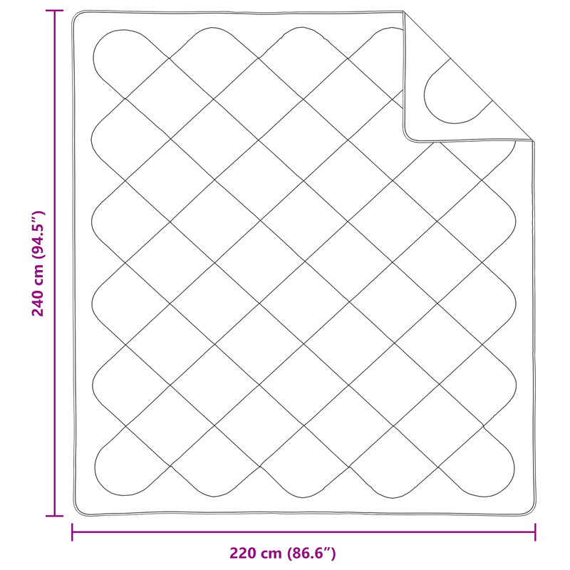 Casa si Gradina - Textile si covoare - Pături și cuverturi - Pături - Duvet de iarna cu perna 3 pcs Alb 260 x 220 cm Microfibra - Infinity.ro