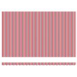 Casa si Gradina - Gradina si terasa - Umbrele si pavilioane - Pavilioane - Cortina Retractabila Manual Stripe Rosu si Alb 500x300 cm - Infinity.ro