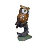 Casa si Gradina - Decoratiuni - Obiecte decorative - Accesorii decorative - Statueta decorativa, Bufnita pe o creanga, Maro, 18 cm, W8330-1 - Infinity.ro