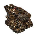 Casa si Gradina - Decoratiuni - Obiecte decorative - Accesorii decorative - Statueta decorativa, Broasca Feng Shui, Bronz, 18 cm, DVRI008 - Infinity.ro
