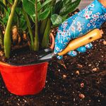 Casa si Gradina - Constructii - Echipamente de lucru - Manusi protectia muncii - Manusi de gradina - Senzor - BSP Guard - 1 - Infinity.ro