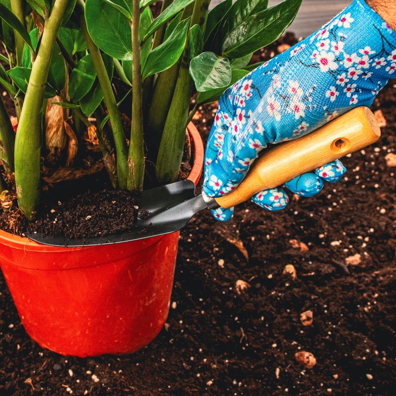 Casa si Gradina - Constructii - Echipamente de lucru - Manusi protectia muncii - Manusi de gradina - Senzor - BSP Guard - 1 - Infinity.ro