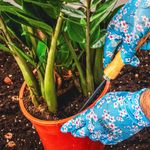 Casa si Gradina - Constructii - Echipamente de lucru - Manusi protectia muncii - Manusi de gradina - Senzor - BSP Guard - 1 - Infinity.ro