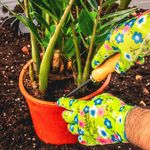 Casa si Gradina - Constructii - Echipamente de lucru - Manusi protectia muncii - Manusi de gradina - Turcoaz - BSP Guard - 1 - Infinity.ro