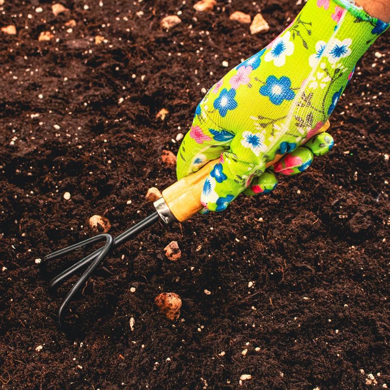 Casa si Gradina - Constructii - Echipamente de lucru - Manusi protectia muncii - Manusi de gradina - Turcoaz - BSP Guard - 1 - Infinity.ro