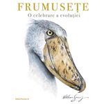 Carti si Birotica - Carti - Carti pentru copii - Basme si povesti - Frumusete. O celebrare a evolutiei - Spring William - Infinity.ro