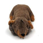 Petshop - Accesorii petshop - Jucarii animale - Jucarii interactive animale - Jucarie pentru caini, cu sunet, model castor, 44 cm - Infinity.ro