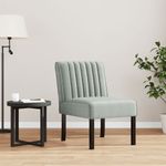 Casa si Gradina - Mobilier - Scaune si fotolii - Fotolii - Fotoliu, gri deschis, catifea - Infinity.ro