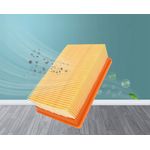 Electronice si Electrocasnice - Ingrijirea locuintei - Accesorii aparate pentru ingrijirea locuintei - Set filtru Hepa si 10 saci textili premium, NewEvo® , pentru aspiratoare Karcher seria, WD4 WD5 WD6 KWD6 - Infinity.ro