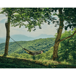 Casa si Gradina - Gradina si terasa - Balansoare si hamace - Hamace si suporturi - Hamac hikerjoy PRO,material ripstop,ultra usor,portabil, 270x150 cm, curele prindere si carabine incluse, green army - Infinity.ro