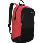 Sport si Outdoor - Articole de voiaj - Rucsacuri - Rucsac Puma TeamGoal 24 - Infinity.ro