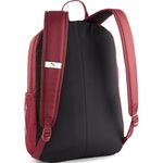 Sport si Outdoor - Articole de voiaj - Rucsacuri - Rucsac Puma Phase II - Infinity.ro