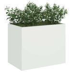 Casa si Gradina - Decoratiuni - Obiecte decorative - Vaze si boluri decorative - Vaza pentru Gradina Alb 50 x 32 x 40 cm Otel laminat la rece - Infinity.ro