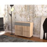 Casa si Gradina - Mobilier - Comode si corpuri - Comode - Comoda Atelier Hilton, dimensiuni 90 x38x85 cm, 2 usi culoare somona/gri - Infinity.ro