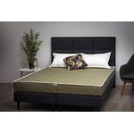 Casa si Gradina - Mobilier - Saltele si somiere - Saltele - Saltea Superortopedica, Buona Notte, Attivo, 140X190x18 cm, spuma poliuretanica, antibacterian, husa Gala, fermitate medie - Infinity.ro