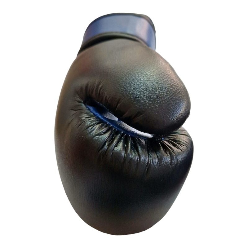 Sport si Outdoor - Sporturi de contact - Saci de box si accesorii - Manusi box junior Anastasia Sport 6 OZ - Infinity.ro