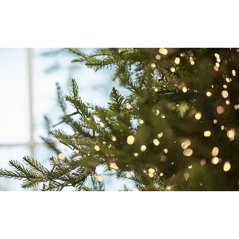 Casa si Gradina - Decoratiuni - Decoratiuni de sezon - Brad artificial Pino Luxury cu lumini si telecomanda, 300 cm, 7000 LED uri, PE, verde - Infinity.ro